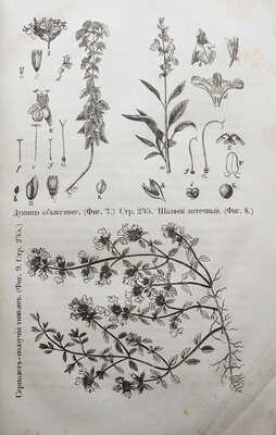 Целебный источник здоровья (домашний лечебник)... М., 1867.